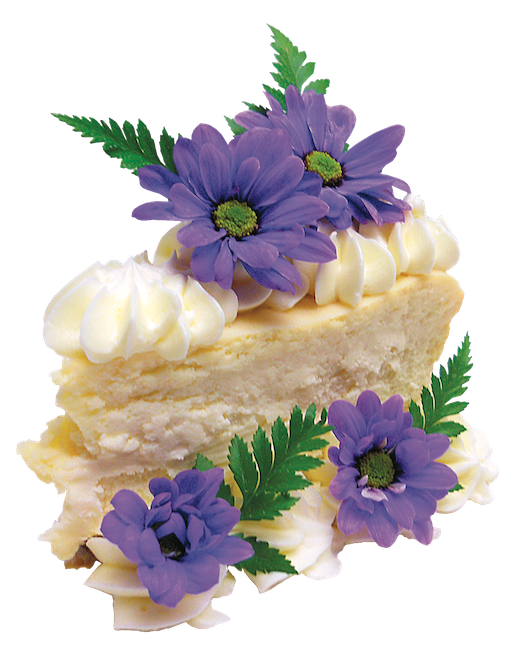 MARKET MADE VANILLA CHEESECAKE SLICE