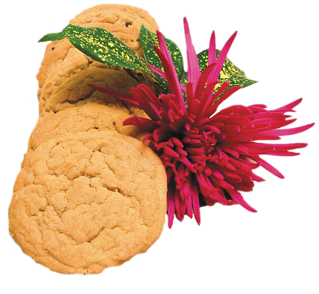 MARKET MADE PEANUT BUTTER CHOCO CHIP COOKIES SCRATCH BAKED