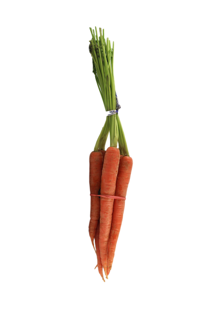 CARROT, BUNCH
