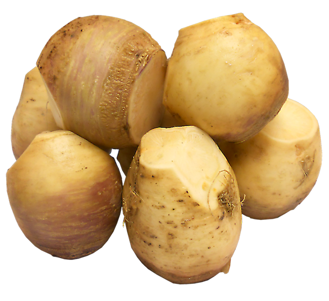 RUTABAGA
