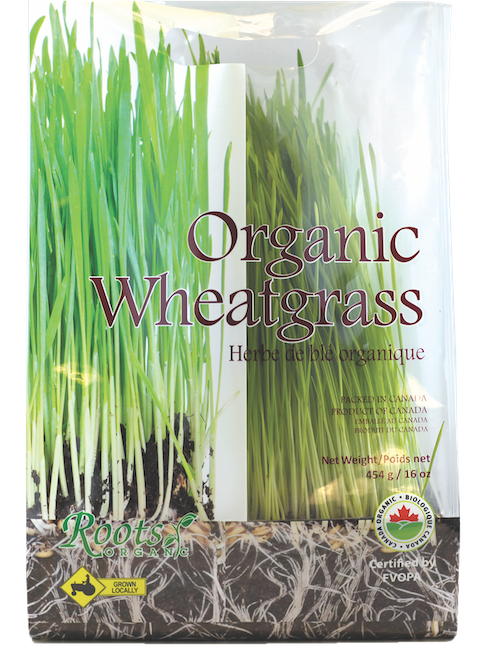WHEATGRASS, ORGANIC