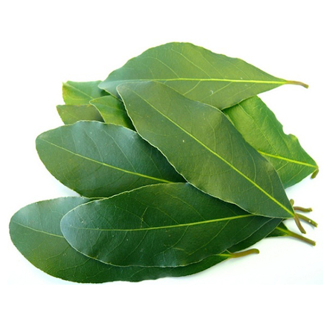 HERB. BAY LEAVES EVERGREEN