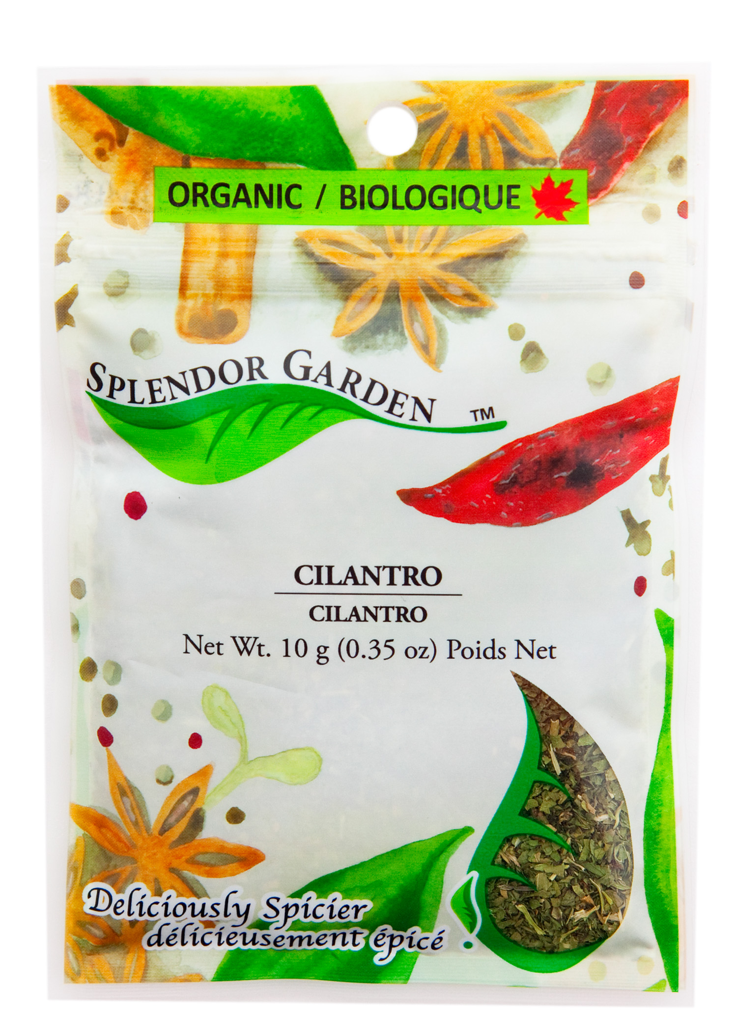 SPLENDOR GARDEN ORGANIC CILANTRO