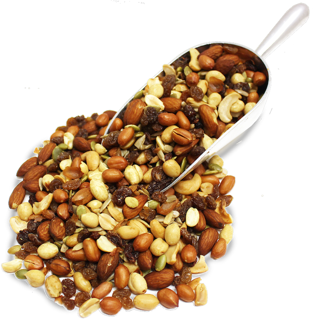 SIERRA MOUNTAIN MIX