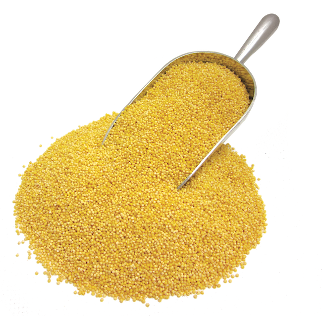 MILLET ORGANIC