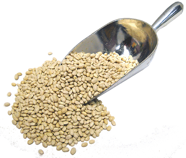 BEANS NAVY ORGANIC