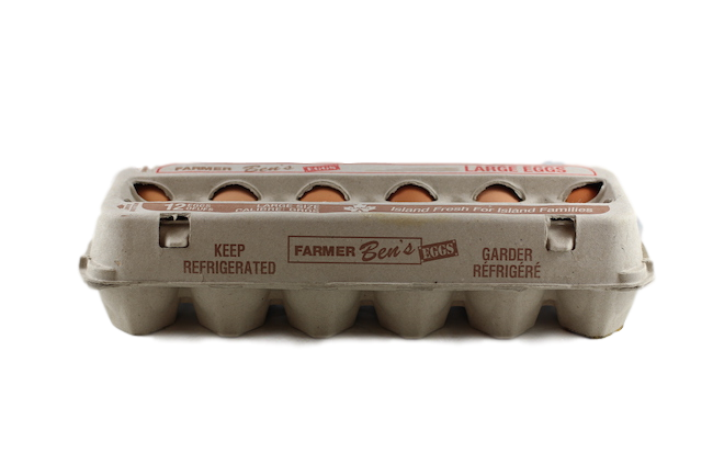FARMER BENS EGGS LARGE BROWN