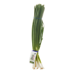 ONION, GREEN ORGANIC