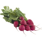 RADISH, BUNCH ORGANIC