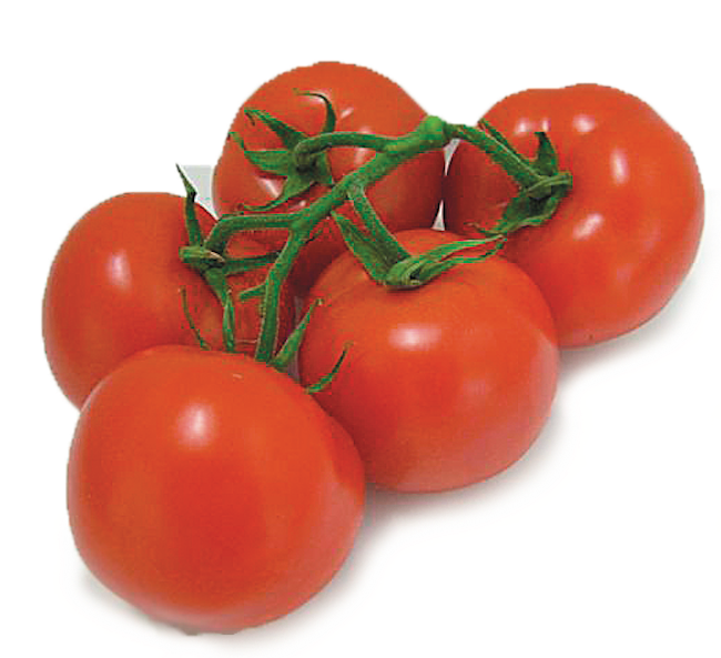 TOMATO, ON THE VINE ORGANIC