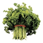 PARSLEY, CURLY ORGANIC