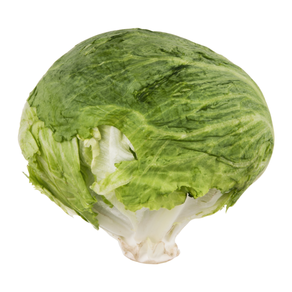 LETTUCE, HEAD / ICEBERG
