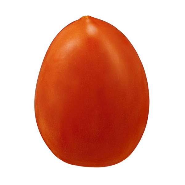 TOMATO, ROMA RED