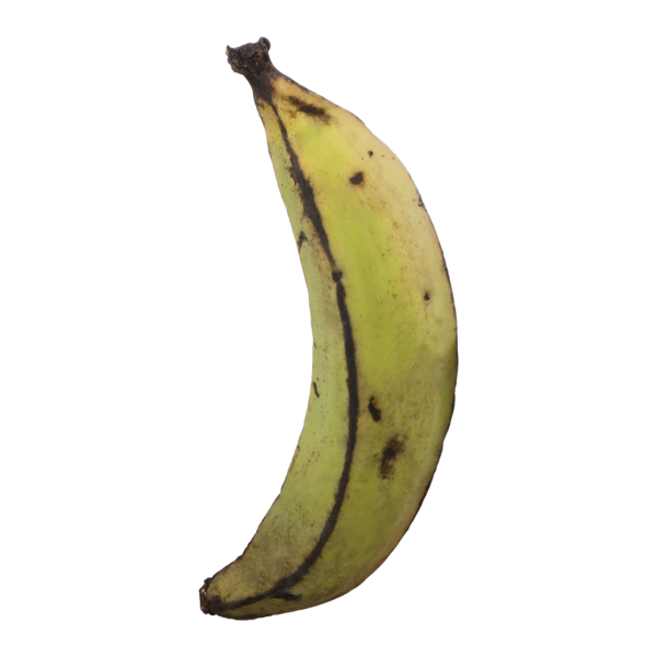 BANANA, PLANTAIN
