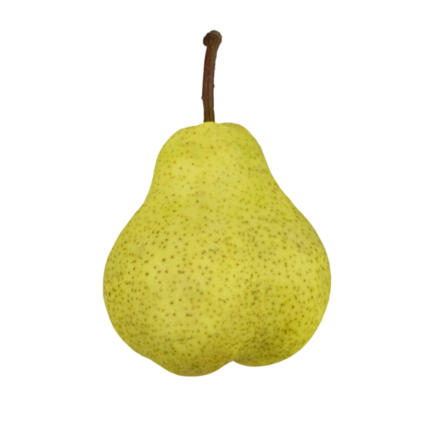 PEAR, BARTLETT