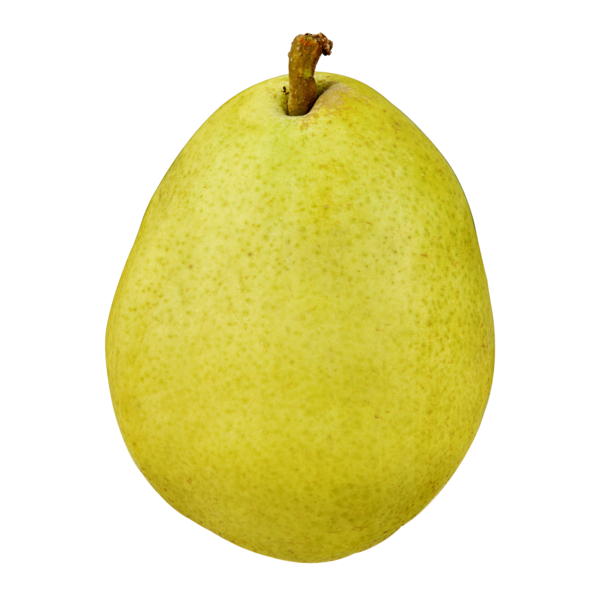PEAR, D'ANJOU