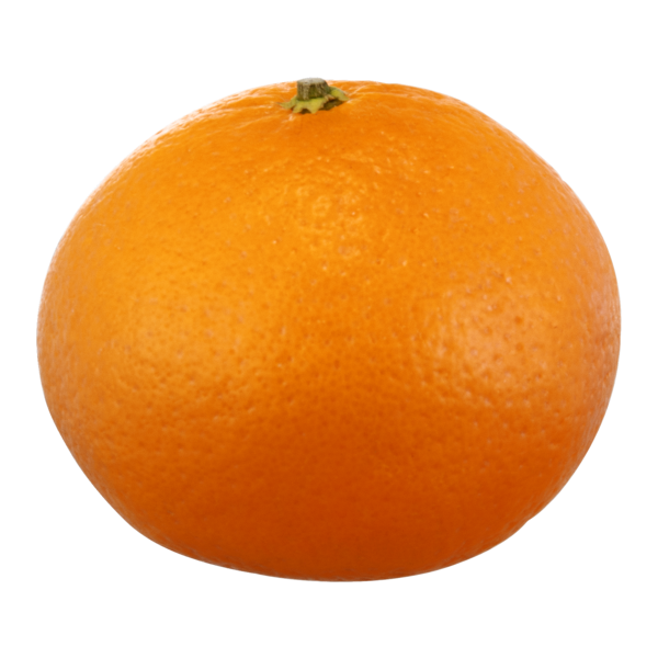 MANDARIN SATSUMA