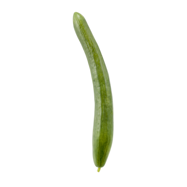 CUCUMBER, ENGLISH LONG