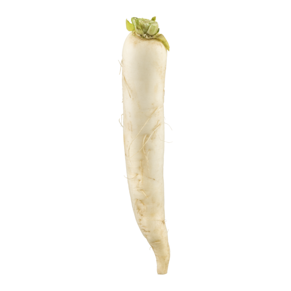 DAIKON