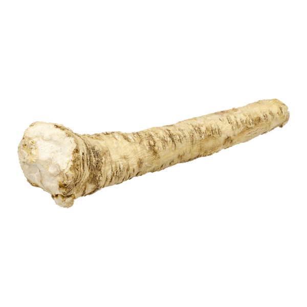 HORSERADISH ROOT
