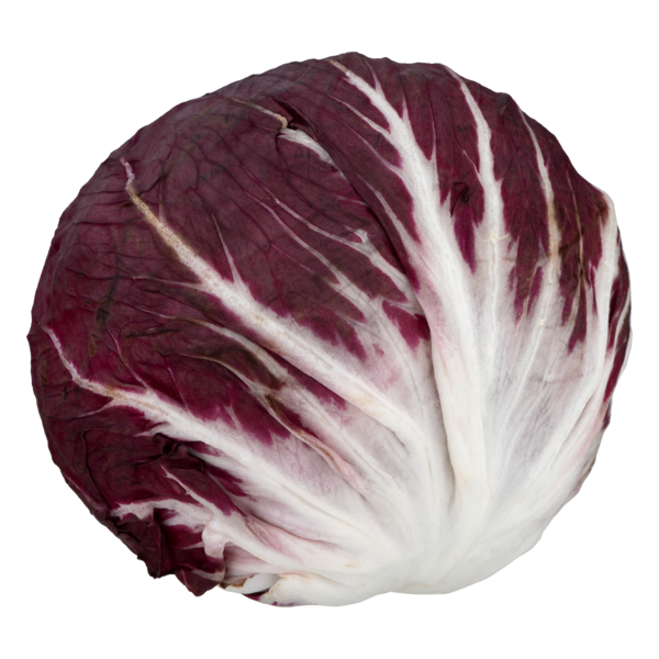 RADICCHIO