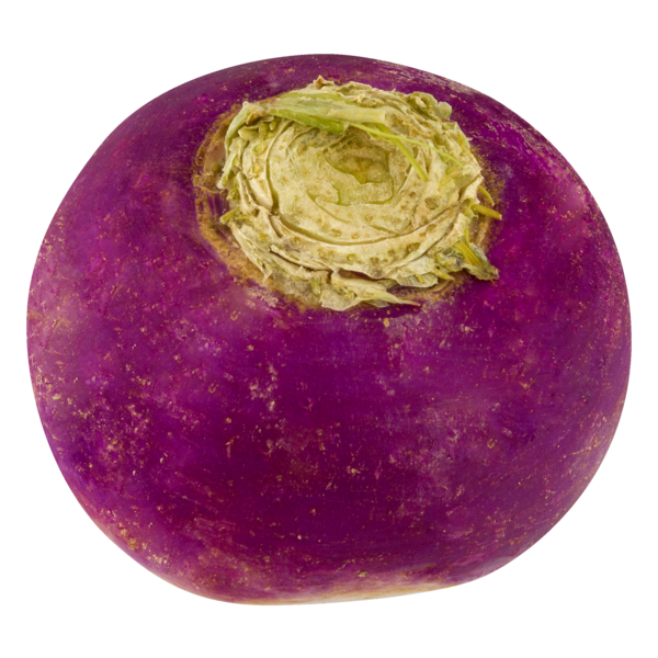 TURNIP, PURPLE