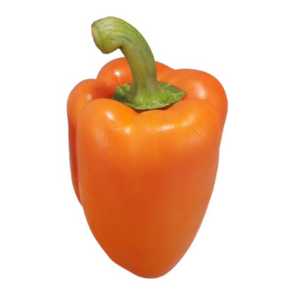 PEPPER, ORANGE COLOURED HOTHOUSE