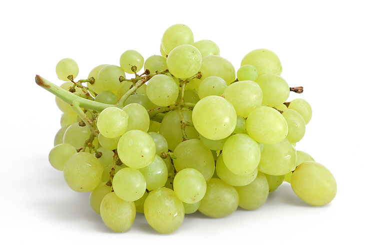 GRAPE, GREEN SEEDLESS