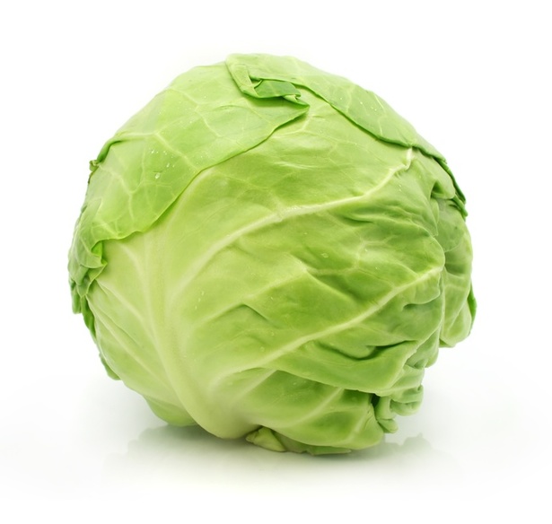 CABBAGE, GREEN