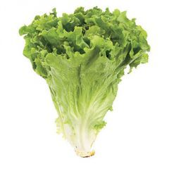 LETTUCE, LEAF GREEN BUNCH