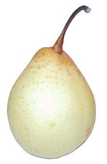 PEAR, ASIAN