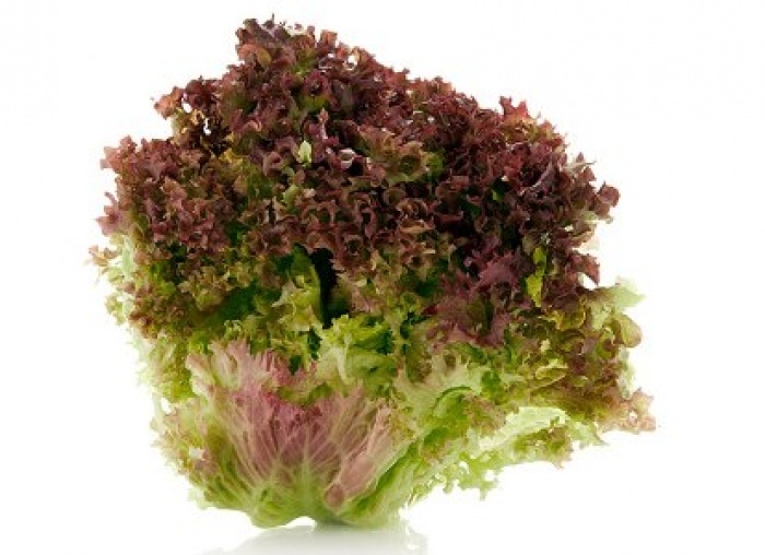 LETTUCE, LEAF RED BUNCH