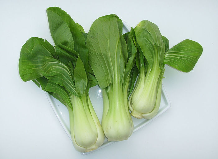BOK CHOY, BABY