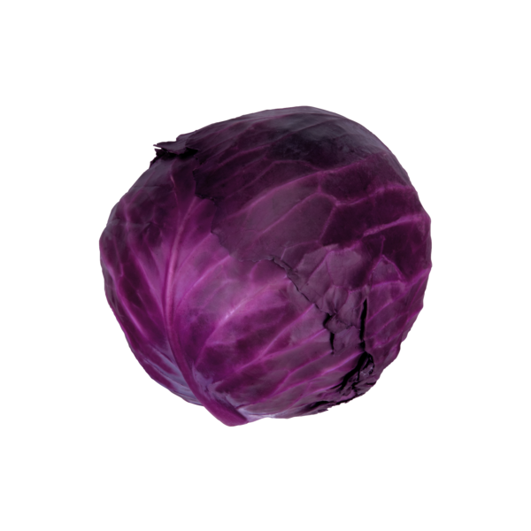 CABBAGE, RED