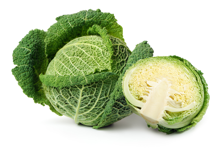 CABBAGE, SAVOY