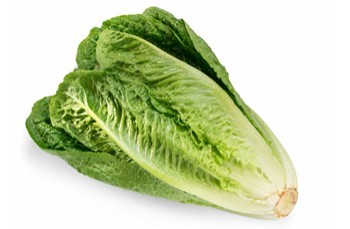 LETTUCE, ROMAINE BUNCH