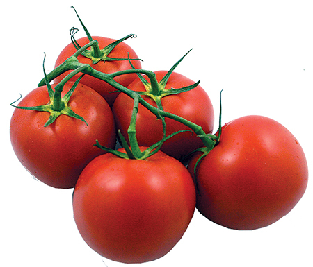 TOMATO, HH ON THE VINE