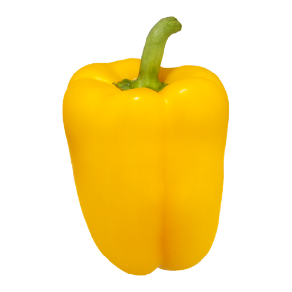 PEPPER, YELLOW COLOURED HOTHOUSE