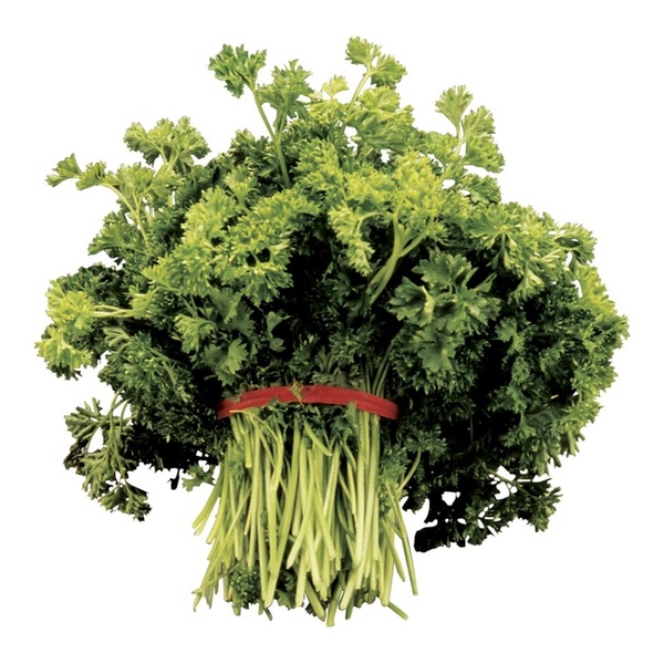 PARSLEY, CURLY