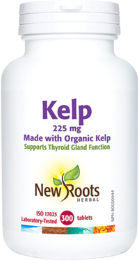 NEW ROOTS KELP