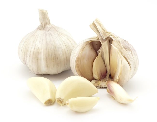 GARLIC, MESH