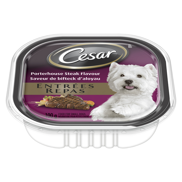 CESAR PORTERHOUSE STEAK FLAVOUR DOG FOOD