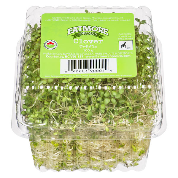 EAT MORE CLOVER ORGANIC SPROUTS