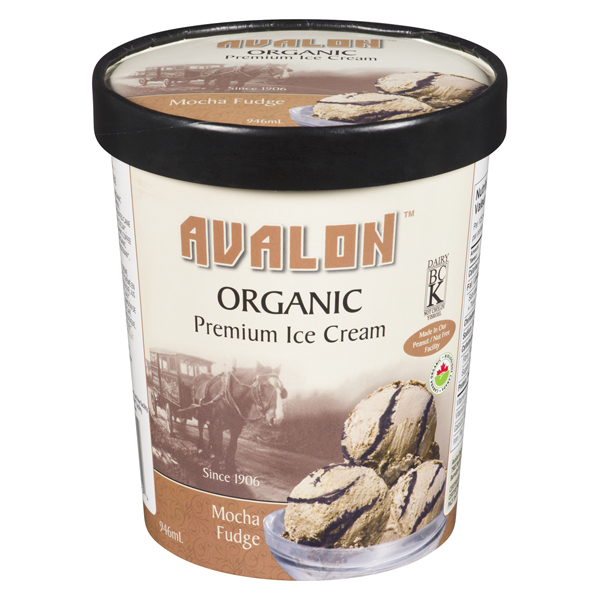 AVALON ORGANIC ICE CREAM MOCHA FUDGE