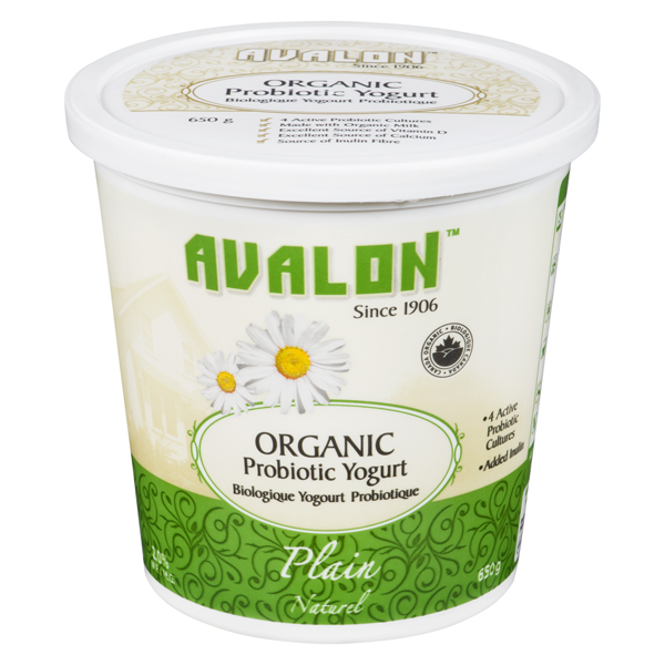 AVALON ORGANIC YOGURT PLAIN
