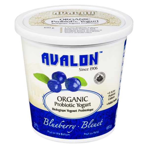 AVALON ORGANIC YOGURT BLUEBERRY