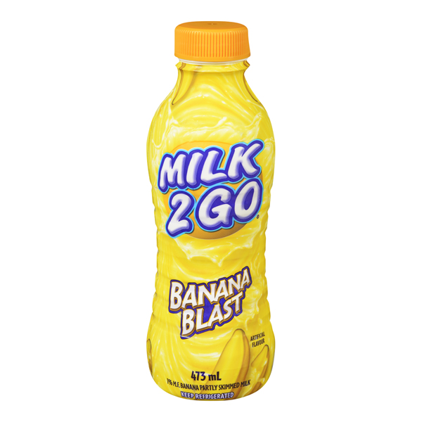 DAIRYLAND MILK 2 GO BANANA