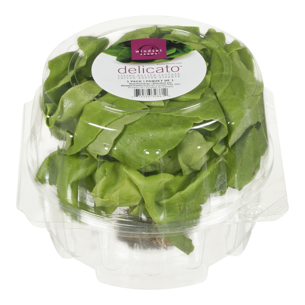 LETTUCE, LIVING BUTTER