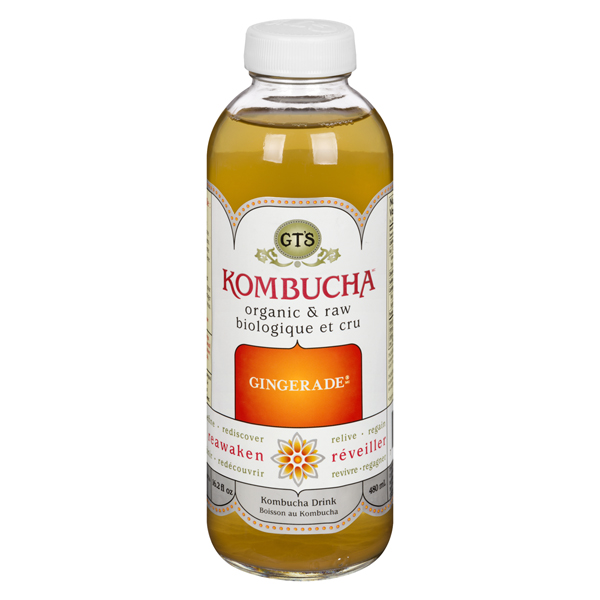 GTS RAW KOMBUCHA GINGERADE