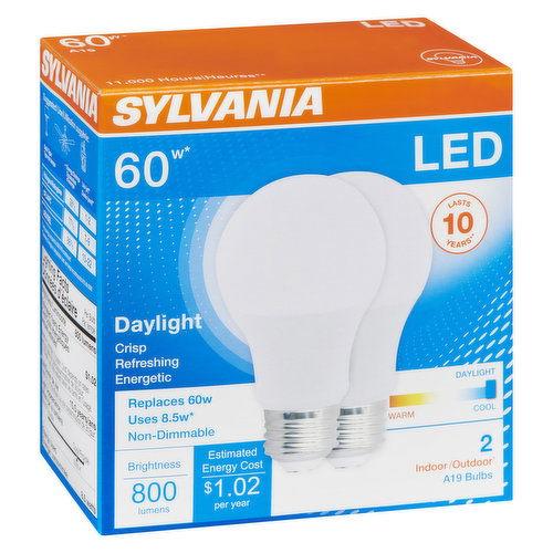 SYLVANIA DAYLIGHT 60W LED BULBS